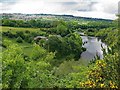 River Tyne from Wylam Scar