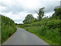 Lane from Affpuddle to Tolpuddle