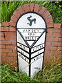 SC2776 : Old Milepost by the A3, Watertrough Park, Isle of Man by Milestone Society