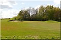 The short 6th hole at Grassmoor Golf Centre