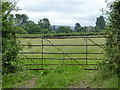 Gated field off Boys Hill Drove