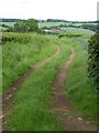 Track and Liveridge Farm