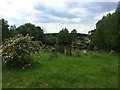 Cemetery on the Outskirts of Thrybergh