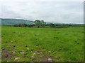 Fields north of Gilfach Farm