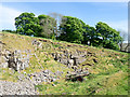 Limestone quarry above lime kiln