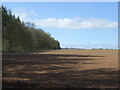 Field beside Charterhall Wood