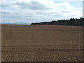 Field near Charterhall 