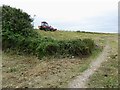ST4283 : Grass cutting on the sea wall by Eirian Evans