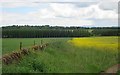 Farmland near Parkhill