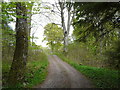 View to Kennels