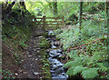 Footpath near Albaston