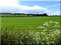 Cavandarragh Townland