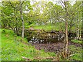 NH5143 : Pond in Croiche Wood by valenta
