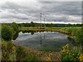 Pond above the River Beauly