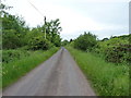 On the lane near Gwyndy