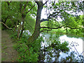 By the River Frome