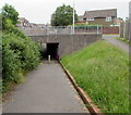 Underpass below Mizzymead Road, Nailsea