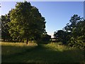 Frome Valley Walkway