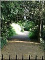 Path in Langdon Park