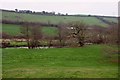 Camel valley near Boscarne