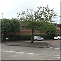 Tree on a triangular island at a Tremorfa junction, Cardiff