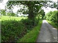 Country road near Coppice Gate