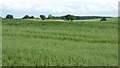 Arable farmland south of Kinlet