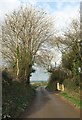 Lane north of St Mabyn