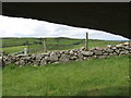 View west from the Legananny Dolmen