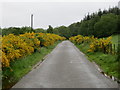 Road near Black Mill