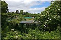 Allotments at Rowley Fields