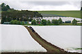 Polythene fields, Tofthill, near St Madoes