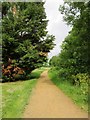 A path in the Joseph Hood Recreation Park