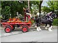 SD9062 : Thwaites Brewery Shire Horses at Malham by Oliver Dixon