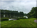 The lake in Brierley Forest Park