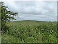SU2481 : Downland near the Ridgeway by Vieve Forward