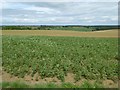 South Shropshire farmland