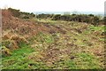 Track by the Moorland Walk