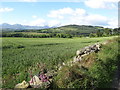 Cropland between Wood Road and the Leitrim Valley