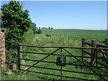 TL2635 : Farm track (footpath), Bygrave by JThomas