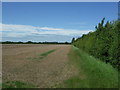 Field and hedgerow