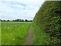 Footpath from Millbank Lane to Old Lane, Maghull