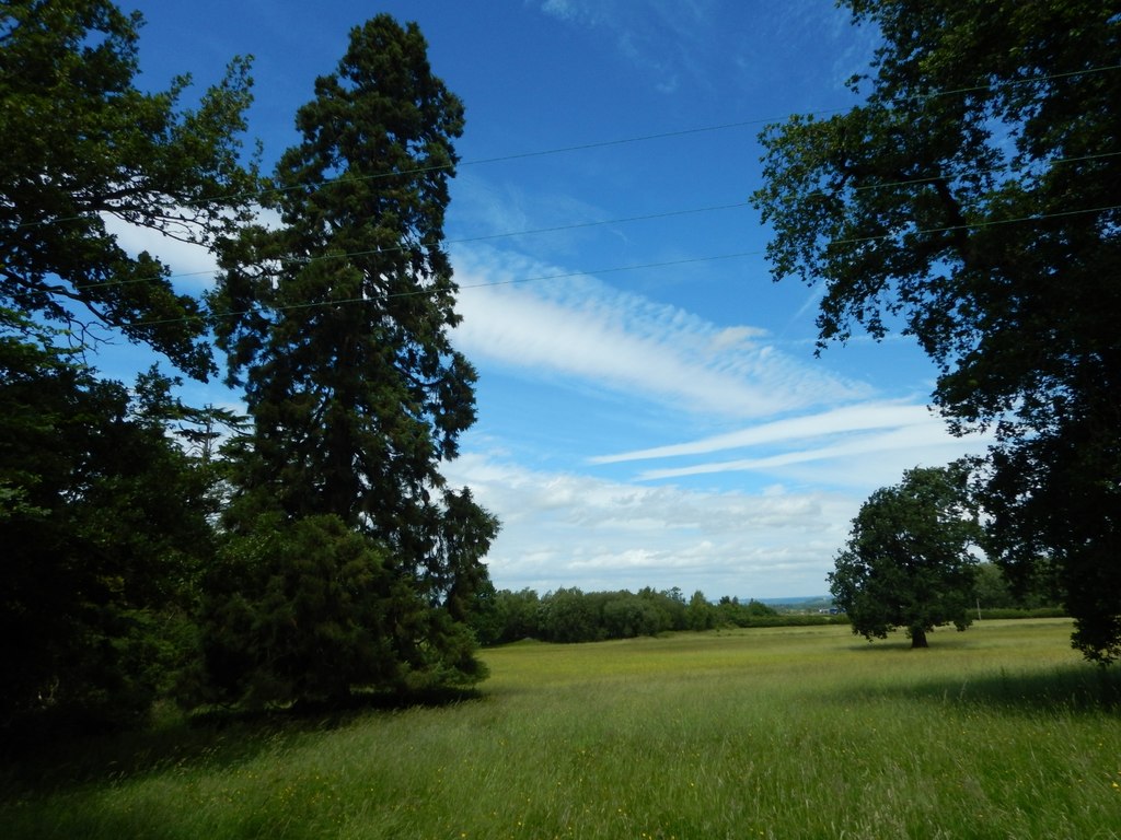 Field between New Lodge and Foliejon... © James Emmans cc-by-sa/2.0 ...