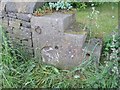 Old Milestone and mounting block by the B6105, Glossop