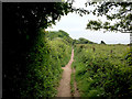 South West Coast Path entering Budleigh Salterton