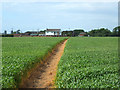 Path from A59 Northway to Home Farm, Back Lane