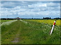 Farmland next to Scotter Road South