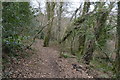 SX4961 : Footpath in Widewell Wood by N Chadwick