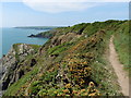 The Pembrokeshire Coast Path near Longberry Point