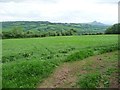 SO3524 : Farmland near the Goytree [previously Upper Goytre] by Christine Johnstone